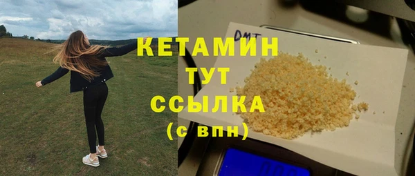 индика Пересвет