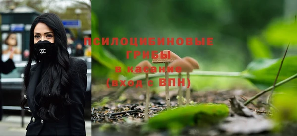 индика Пересвет