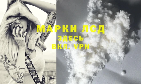 гашик Переславль-Залесский