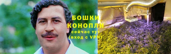 индика Пересвет