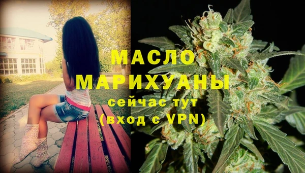 гашик Переславль-Залесский