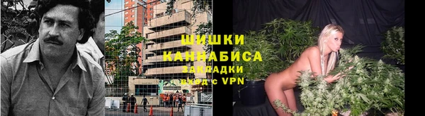 гашик Переславль-Залесский