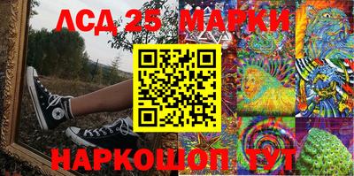 крисы Абакан