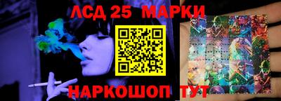 крисы Абакан