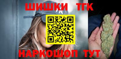 крисы Абакан