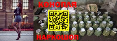 крисы Абакан