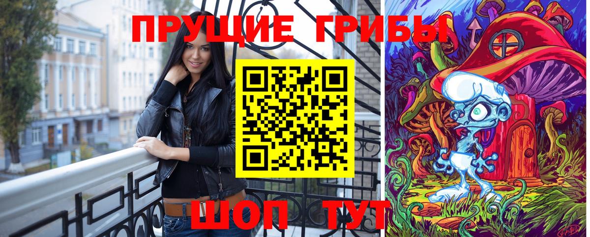 Галлюциногенные грибы Psilocybe Алейск