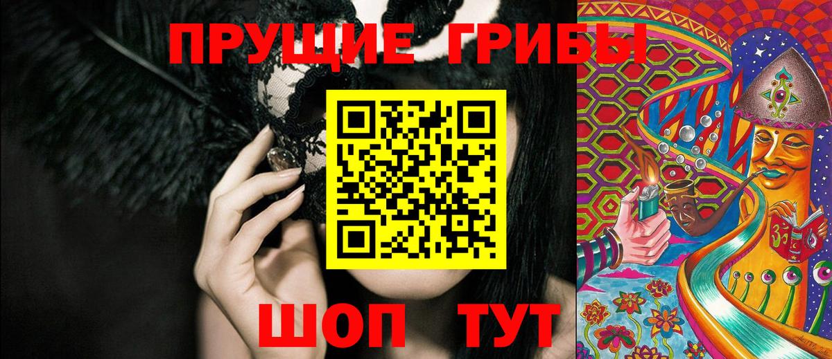 Галлюциногенные грибы Psilocybine cubensis  Алейск 