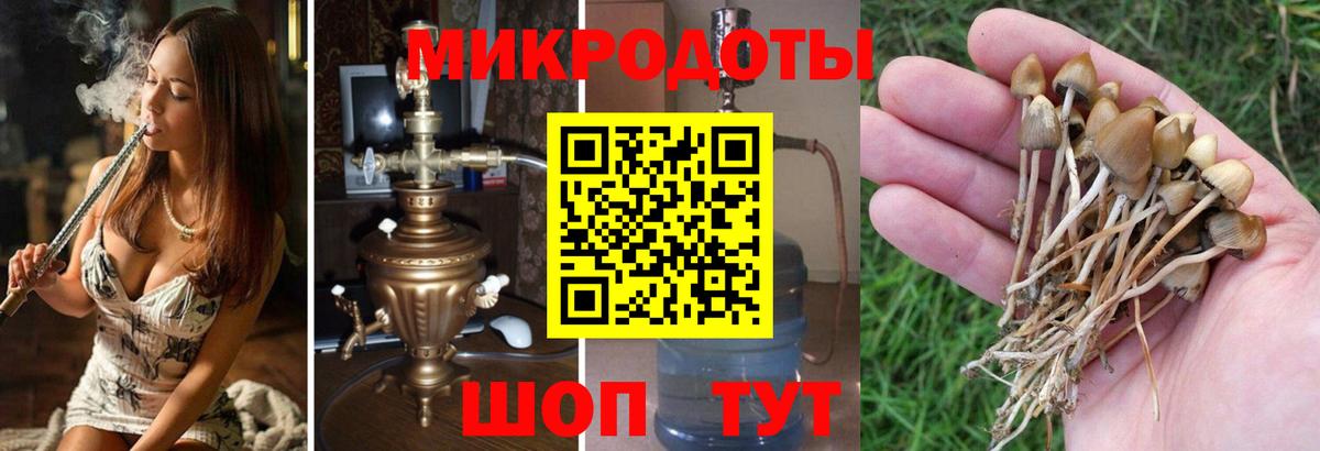 Галлюциногенные грибы MAGIC MUSHROOMS  Вход с VPN  Алейск 