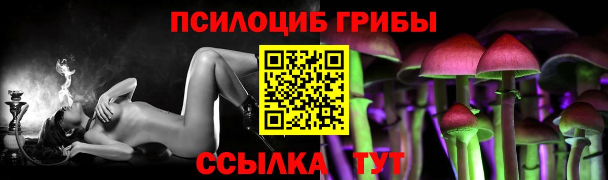 Псилоцибиновые грибы прущие грибы Алейск